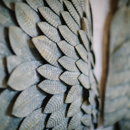 B&B Absoluxe 커크비로즈데일